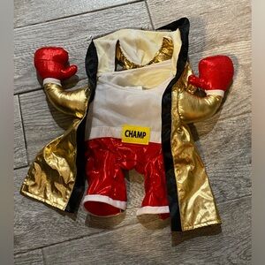 Pet Costume (C320)